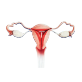 Contraception & Family Planning